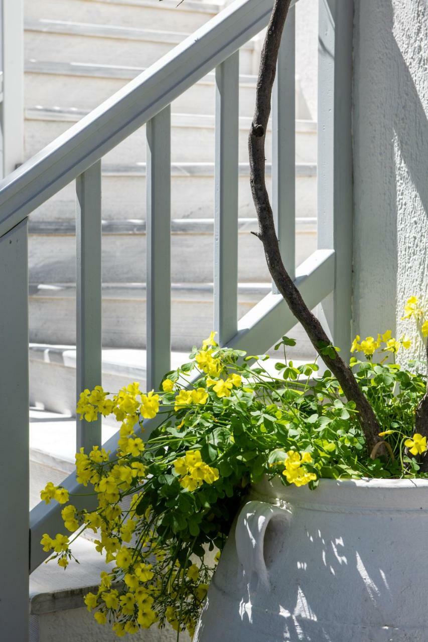 Secret Garden Apartments Mykonos Town Exteriér fotografie