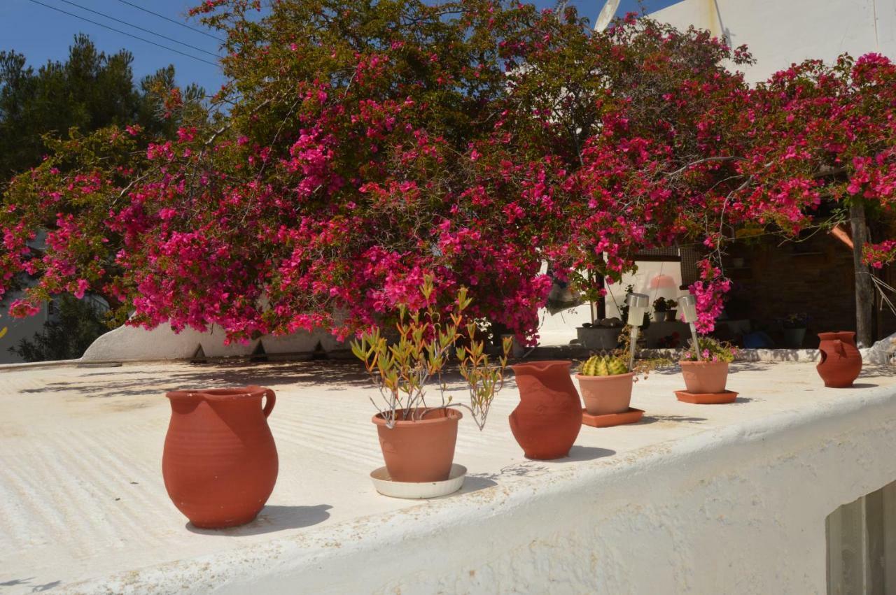 Secret Garden Apartments Mykonos Town Exteriér fotografie