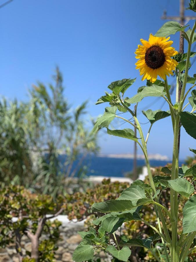 Secret Garden Apartments Mykonos Town Exteriér fotografie